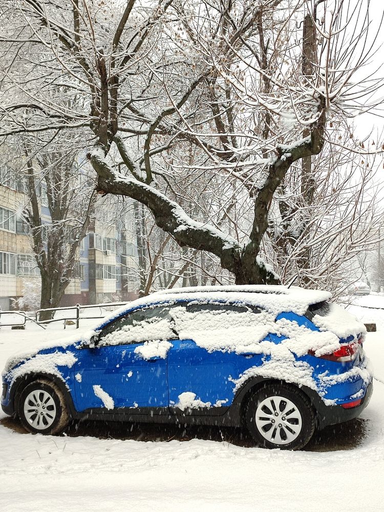 Photograph by Galina Novichkova