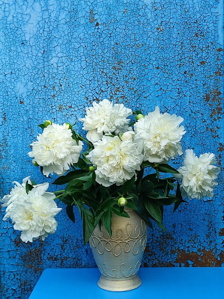 Photograph by Galina Novichkova