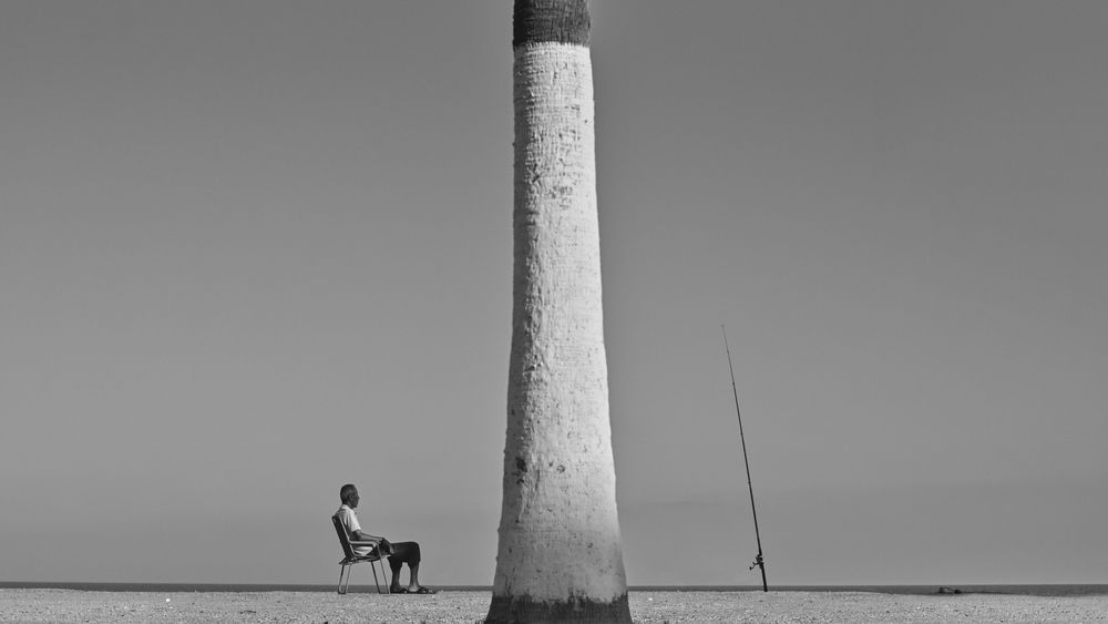 Photograph by Vladimir Shish