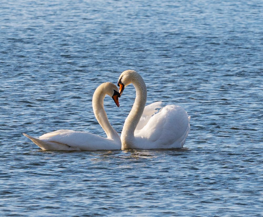 Photograph by Ольга Дерябина