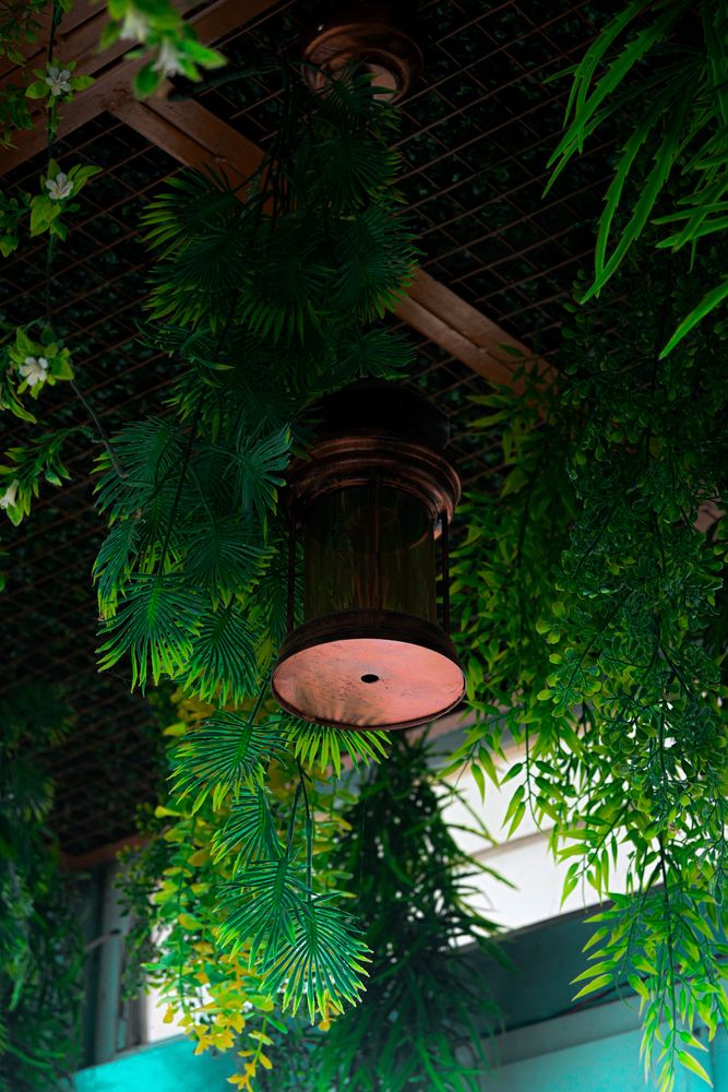 Photograph by Sanchit Rastogi