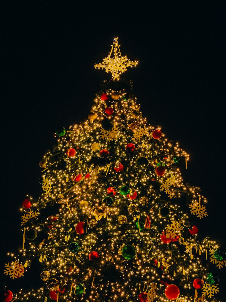 Фотография автора Марина Рябуха