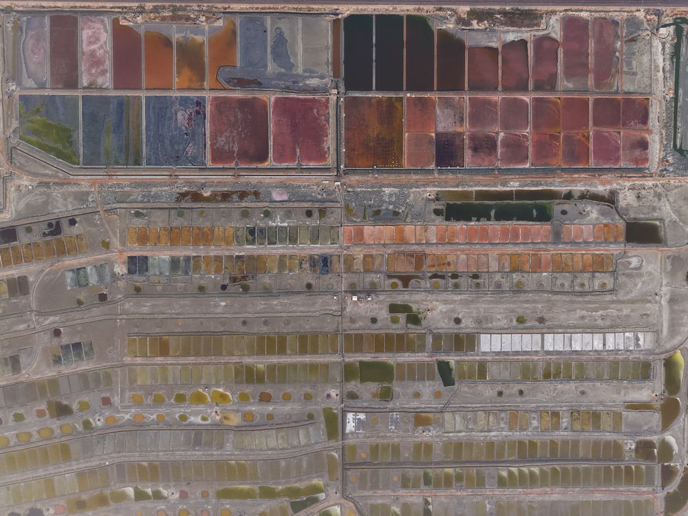A Palette of Time