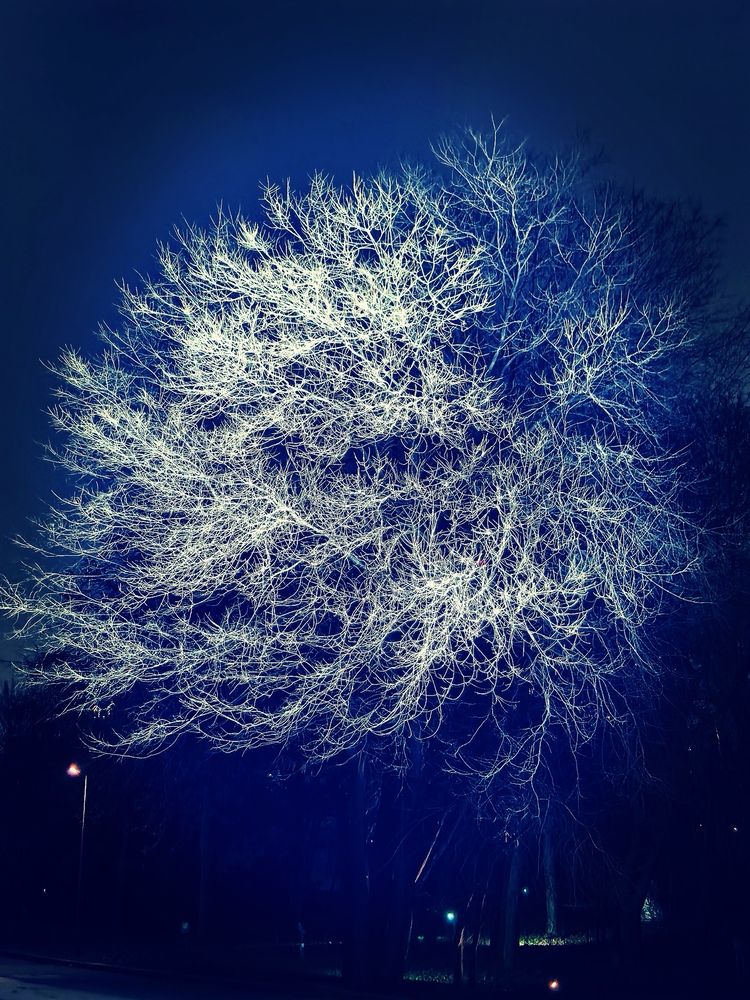 Photograph by Елена Охапкина