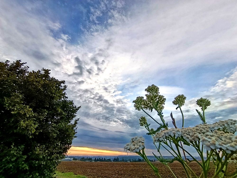 Photograph by Julita
