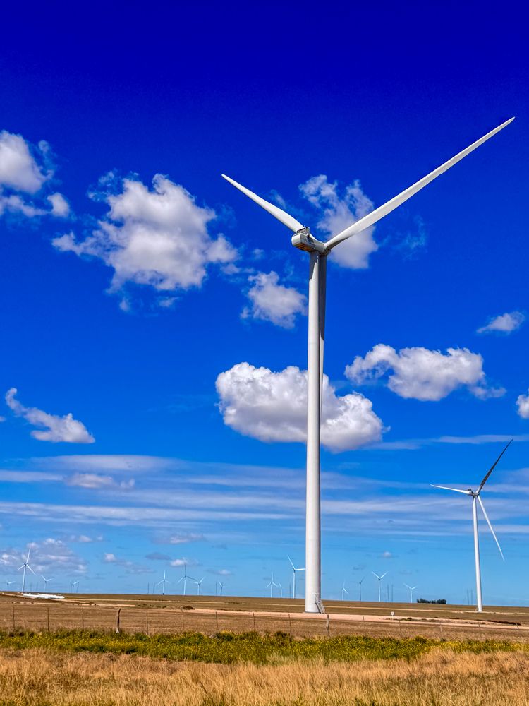 Photograph by Maria julieta ZURZOLO