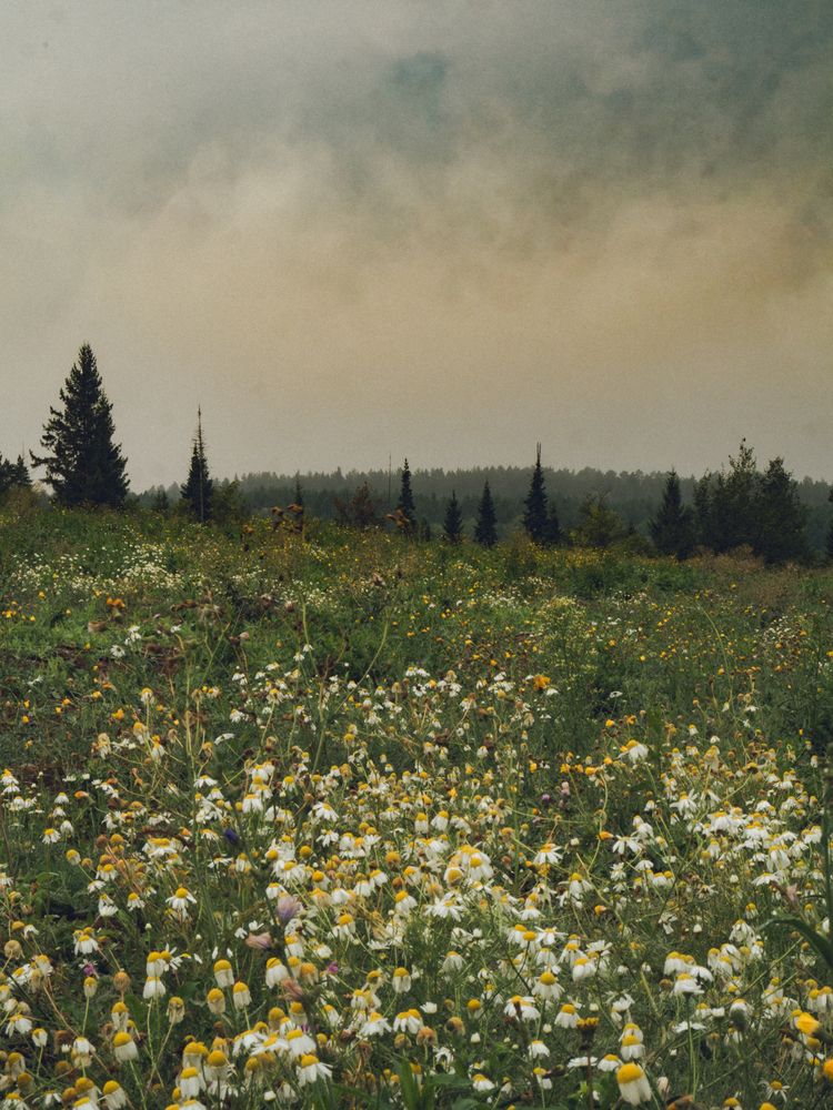Photograph by Илья Долгушев
