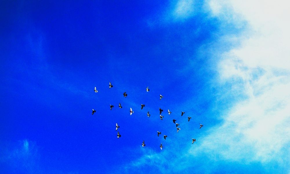 Photograph by Osama Khaleel