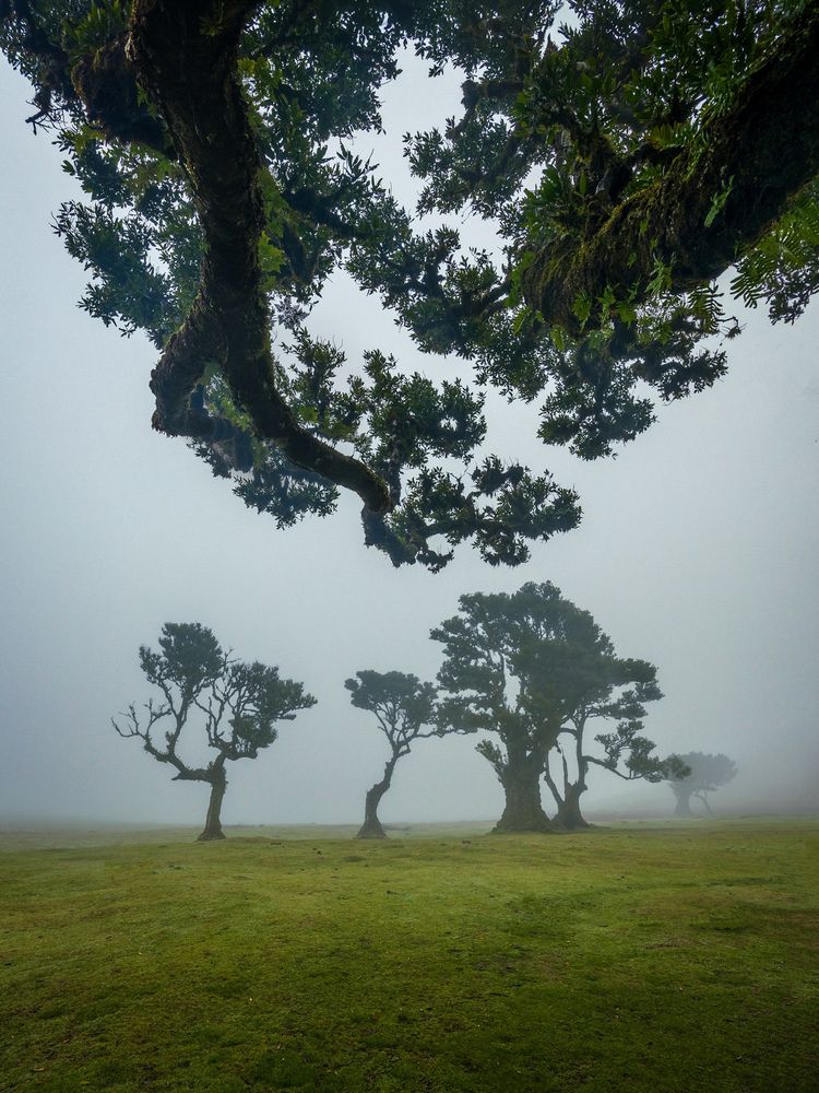 Photograph by Demir Pepic
