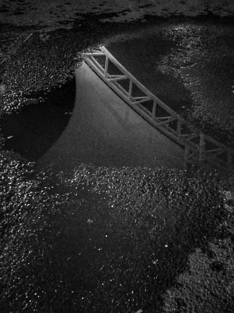 Photograph by Carlos Orozco Carlos Orozco bass