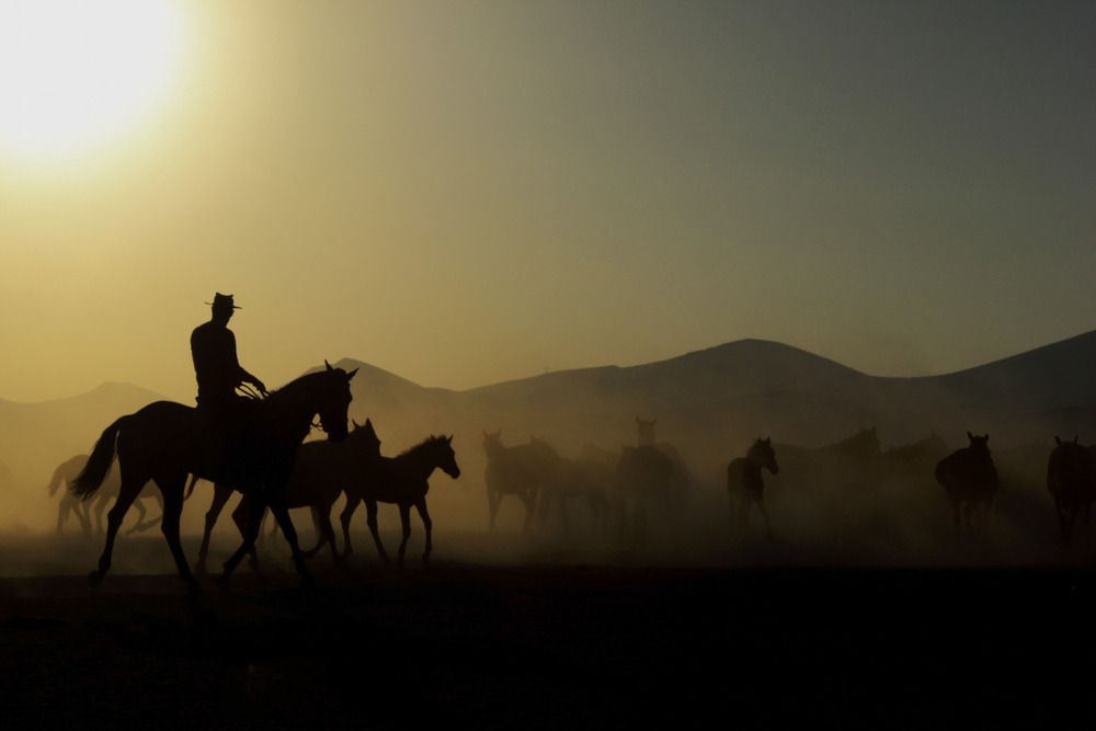 Photograph by Özgür Caymaz