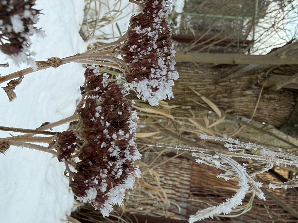 Photograph by Сидоренко Оксана