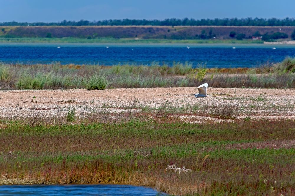 Photograph by Михаил Косолапов