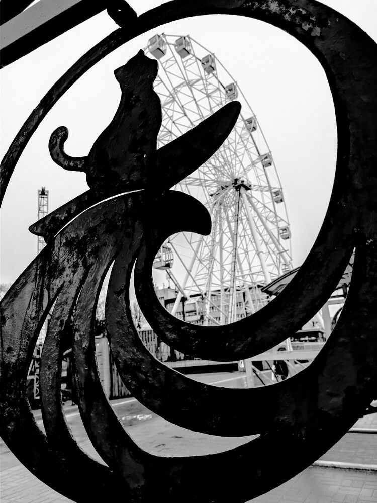 Photograph by Наталия