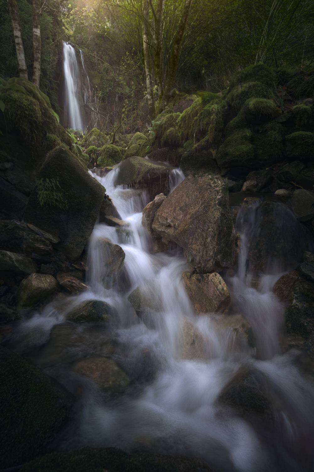 Фотография #12973663