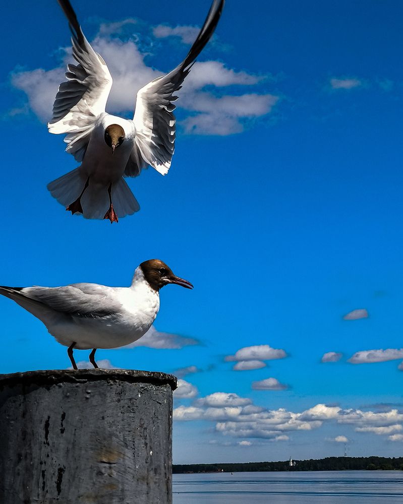 Photograph by Анна Липилина