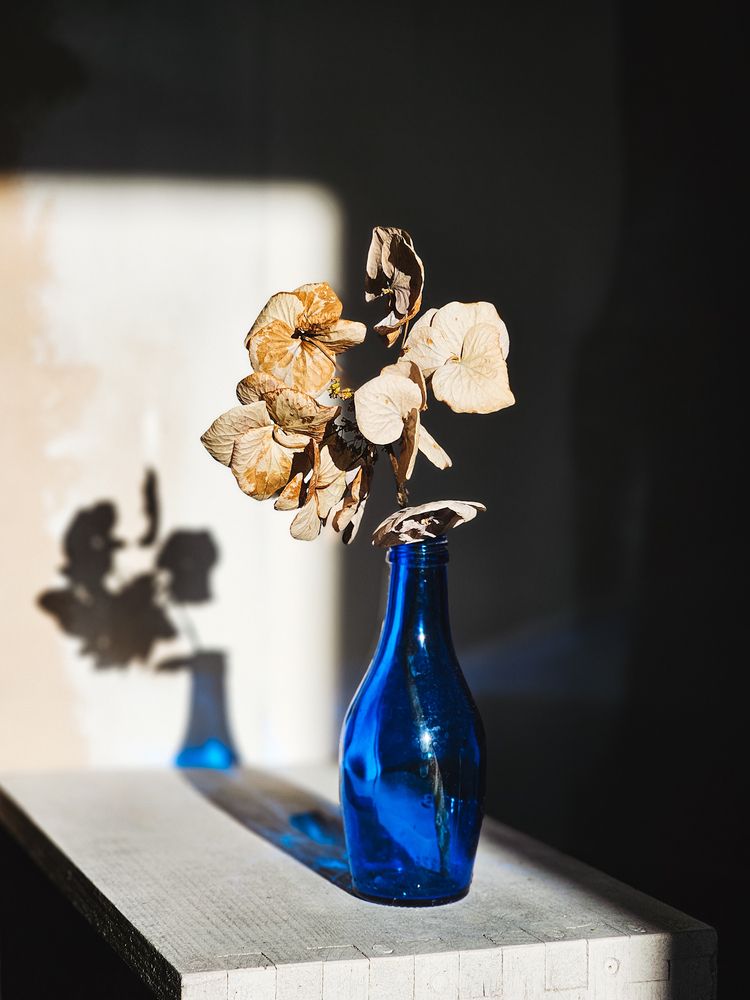 Photograph by Alexandra Sergeeva