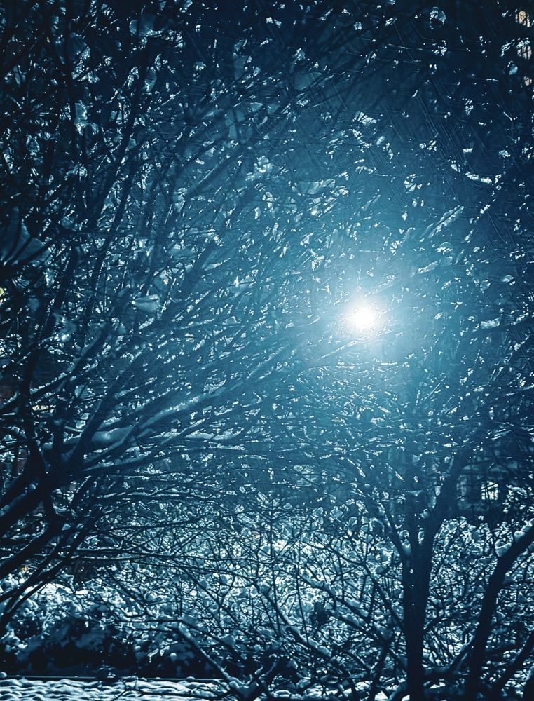 Photograph by Наталия Любчикова