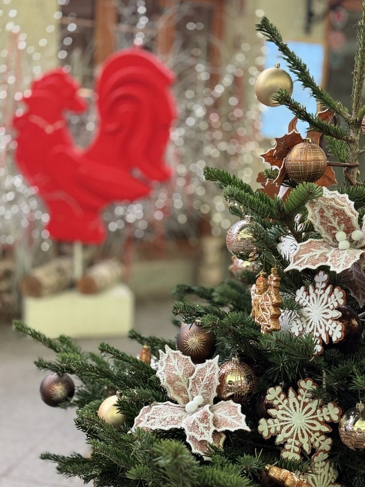 Photograph by Наталия Любчикова