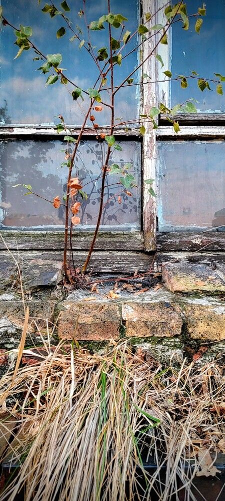 Photograph by Piotr Juszczynski