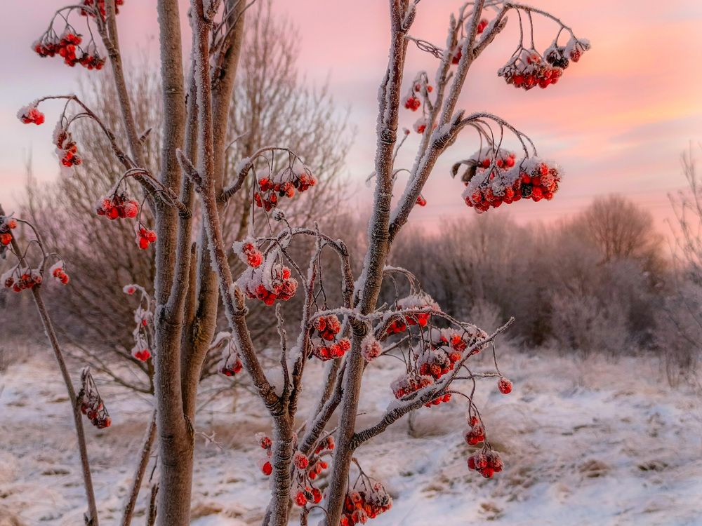 Photograph by Кондрашова Светлана
