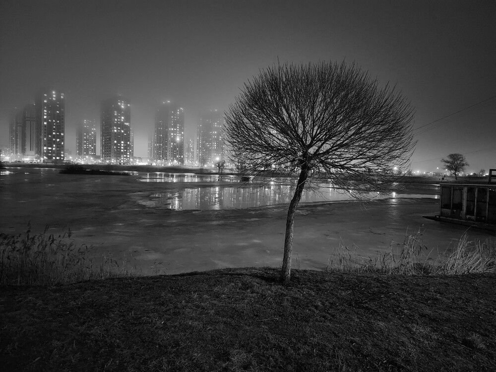 Фотография автора Надежда Кудрявцева