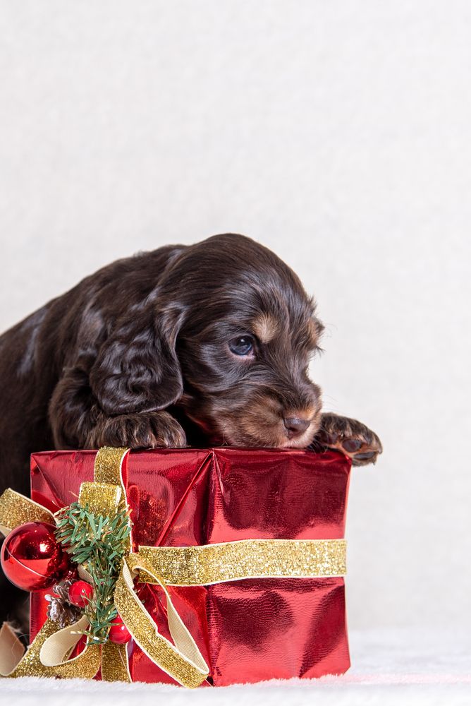 Photograph by наталья залогина