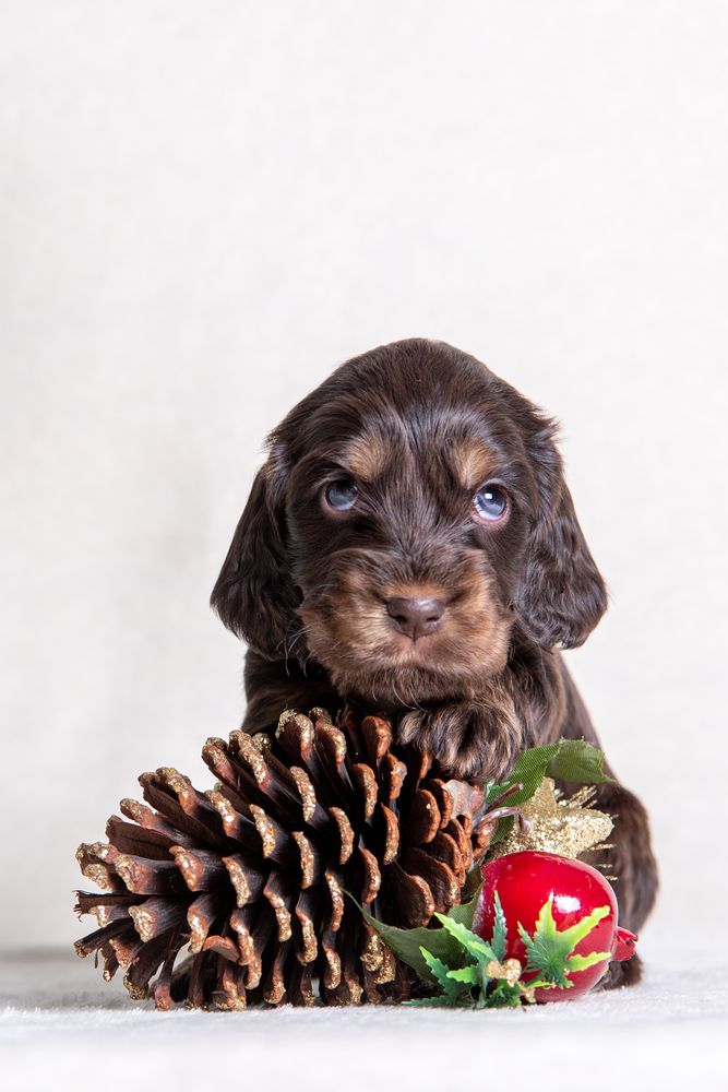 Photograph by наталья залогина