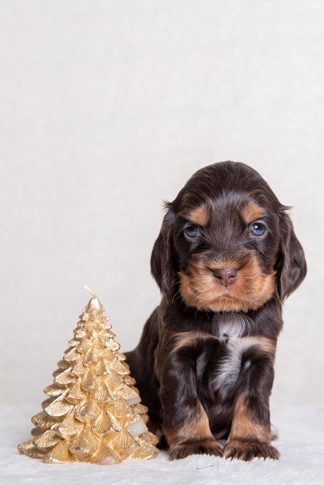 Photograph by наталья залогина