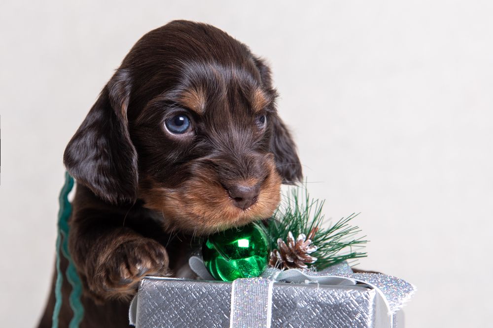 Photograph by наталья залогина