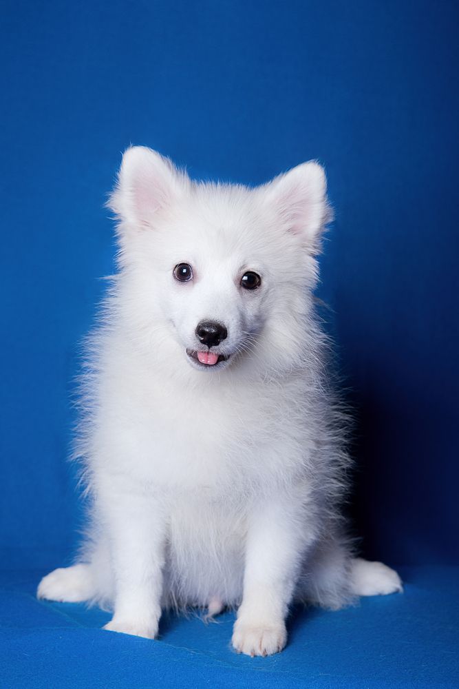 Photograph by наталья залогина