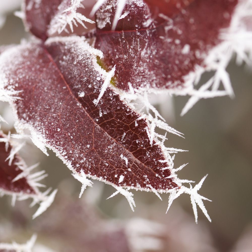 Photograph by Галина Крымская