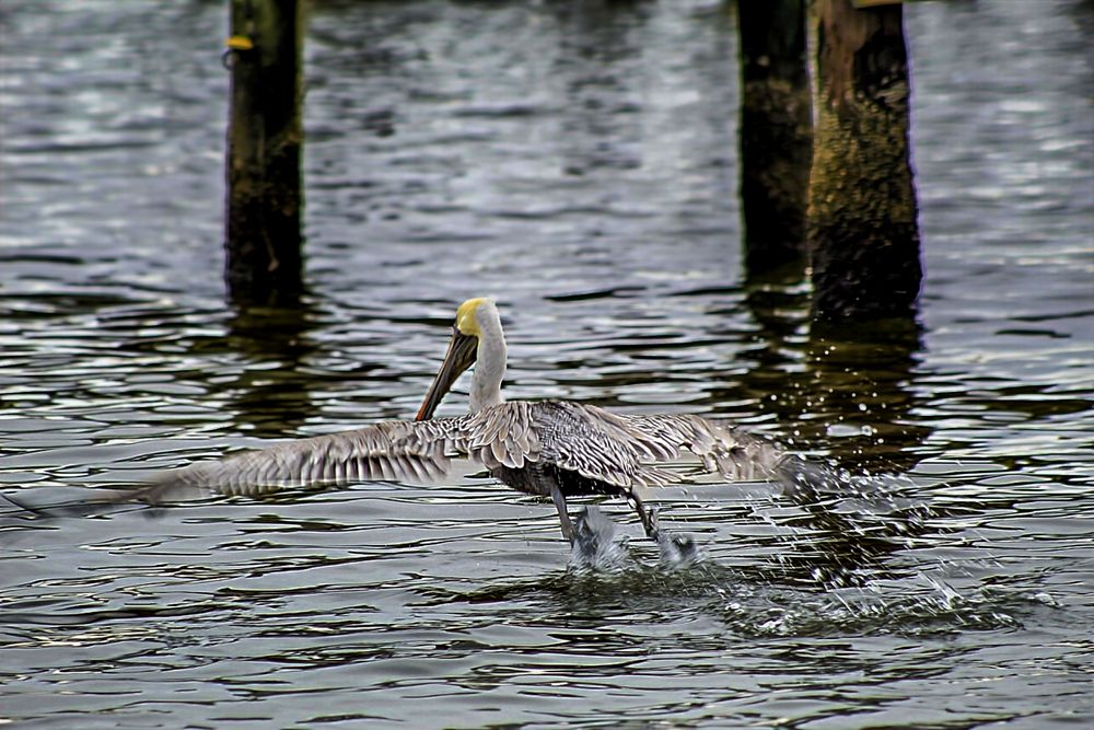 Фотография автора Jeff Cooley