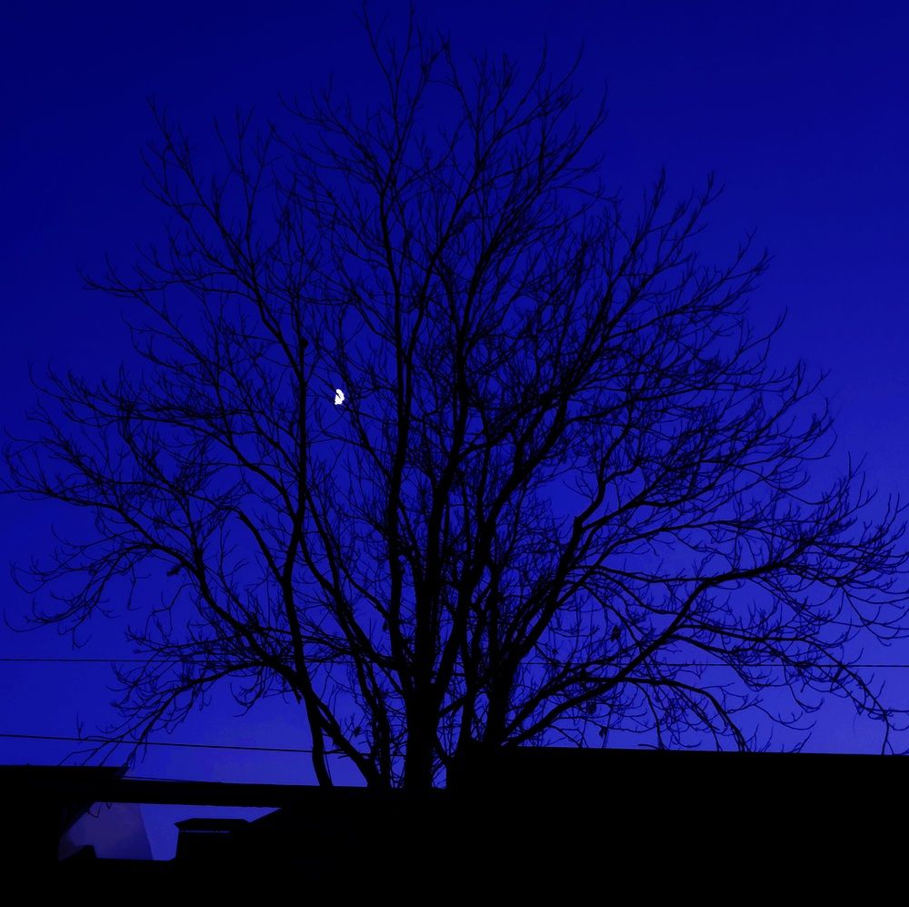 Фотография автора Hvabek Kim