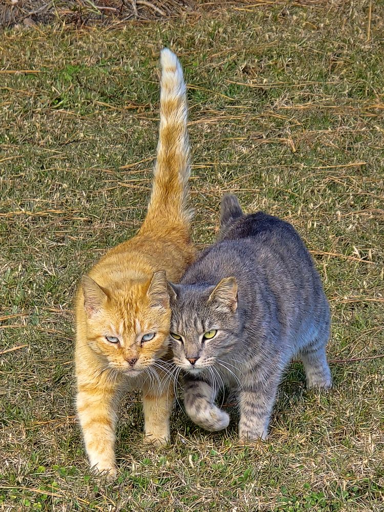 Фотография автора Jeff Cooley