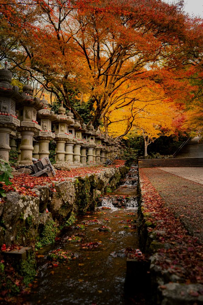 Photograph by Sachintha Jarathne