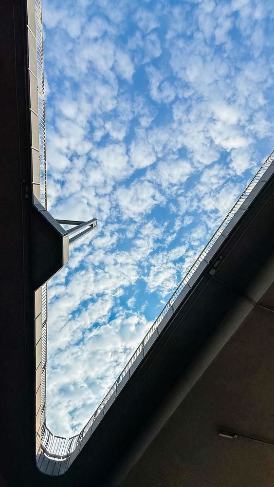 Photograph by Anna Shelutina