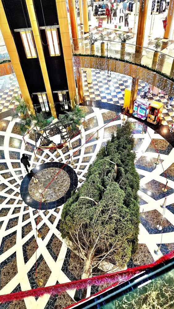 Photograph by Дарья Агапова