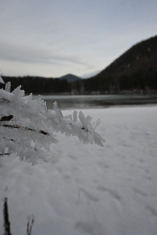 Photograph by Maria Vittoria Amoruso