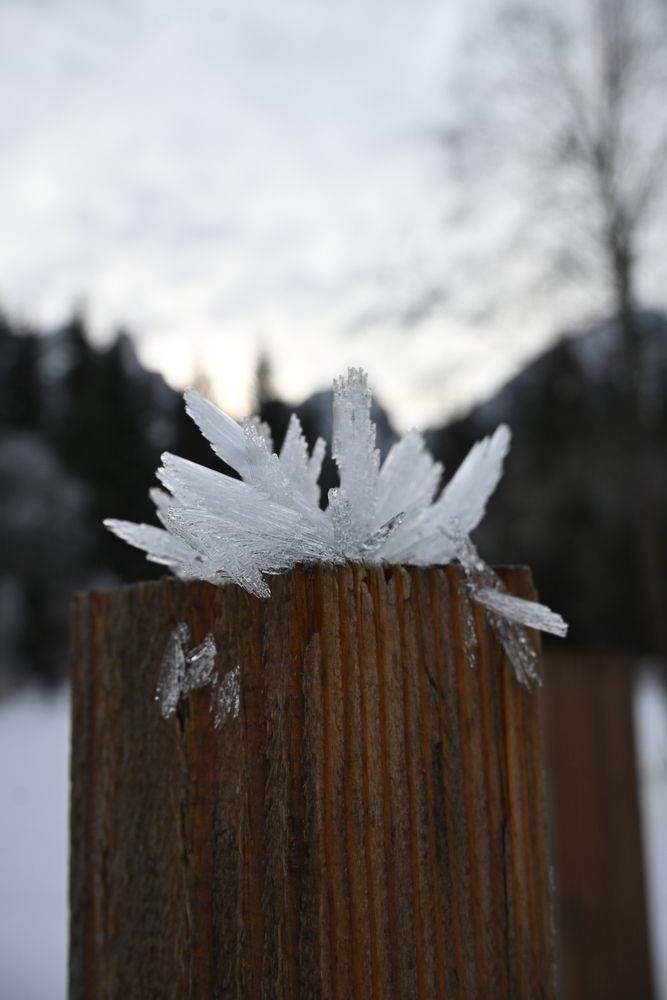 Photograph by Maria Vittoria Amoruso