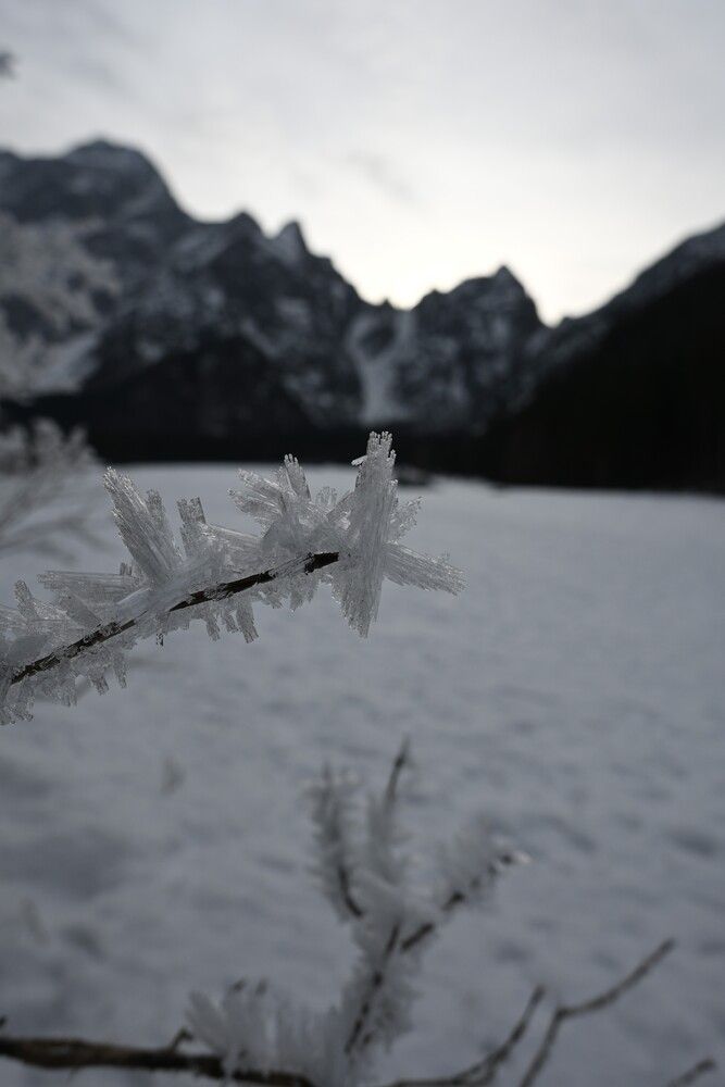 Photograph by Maria Vittoria Amoruso