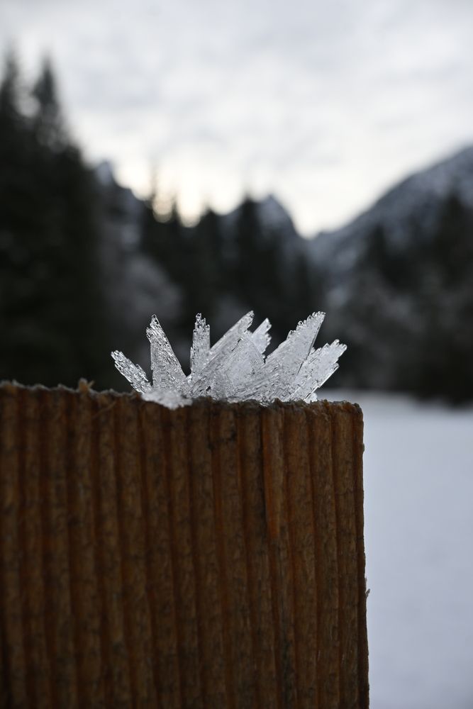 Photograph by Maria Vittoria Amoruso