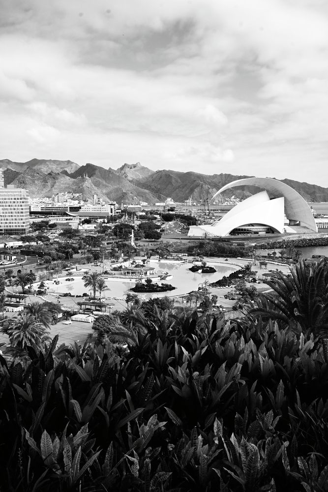 Photograph by Maria Vittoria Amoruso