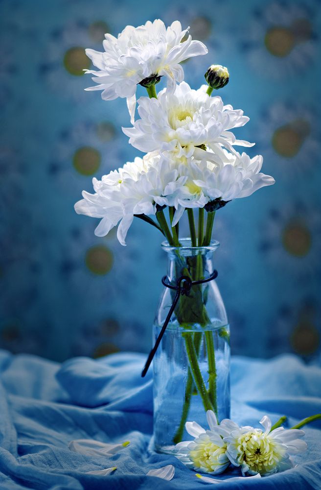 Photograph by Maryam Jassim