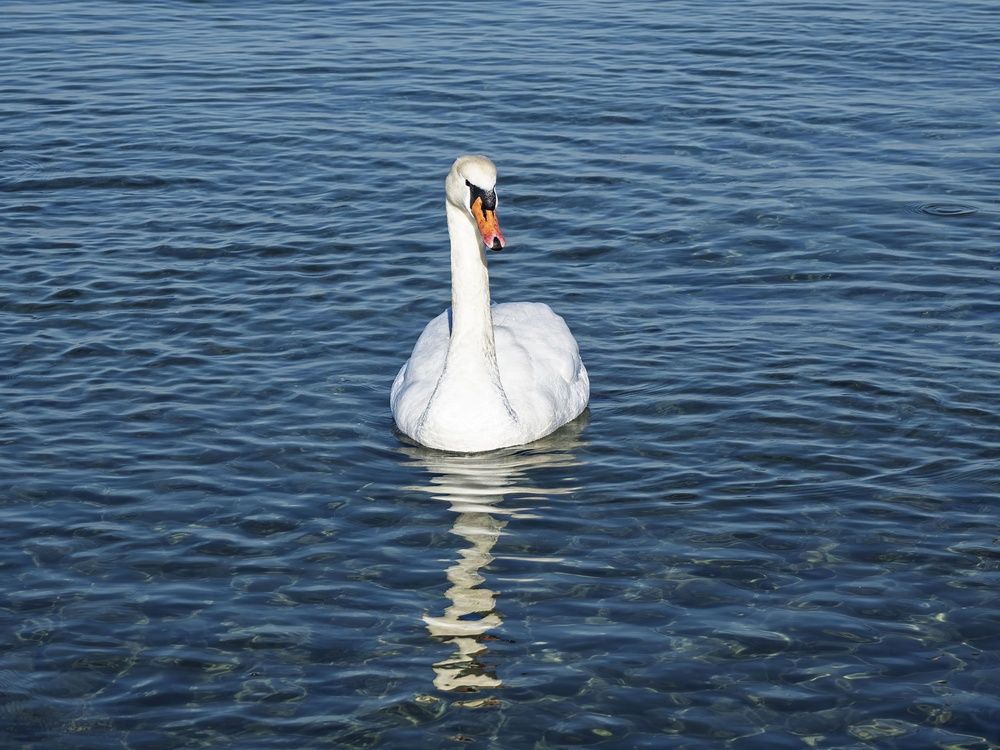 Photograph by Борис Полтавец