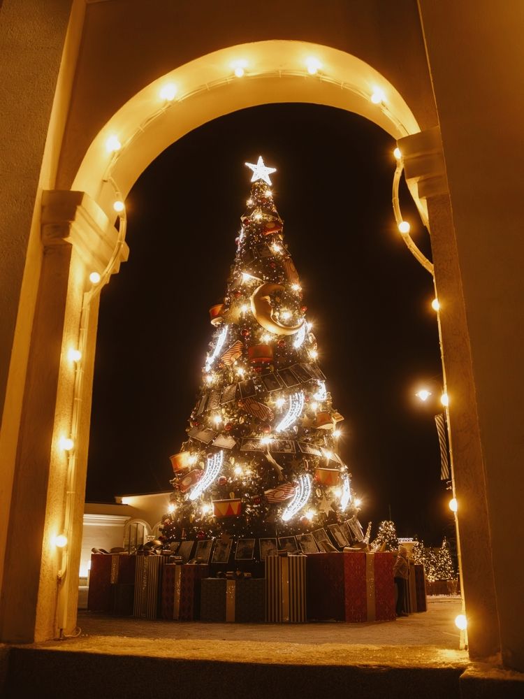 Photograph by Анна Любимова