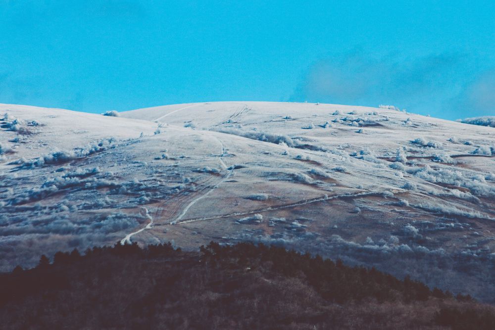 Photograph by Христина Сергейчик