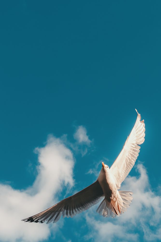 Photograph by Siarhei Makarski