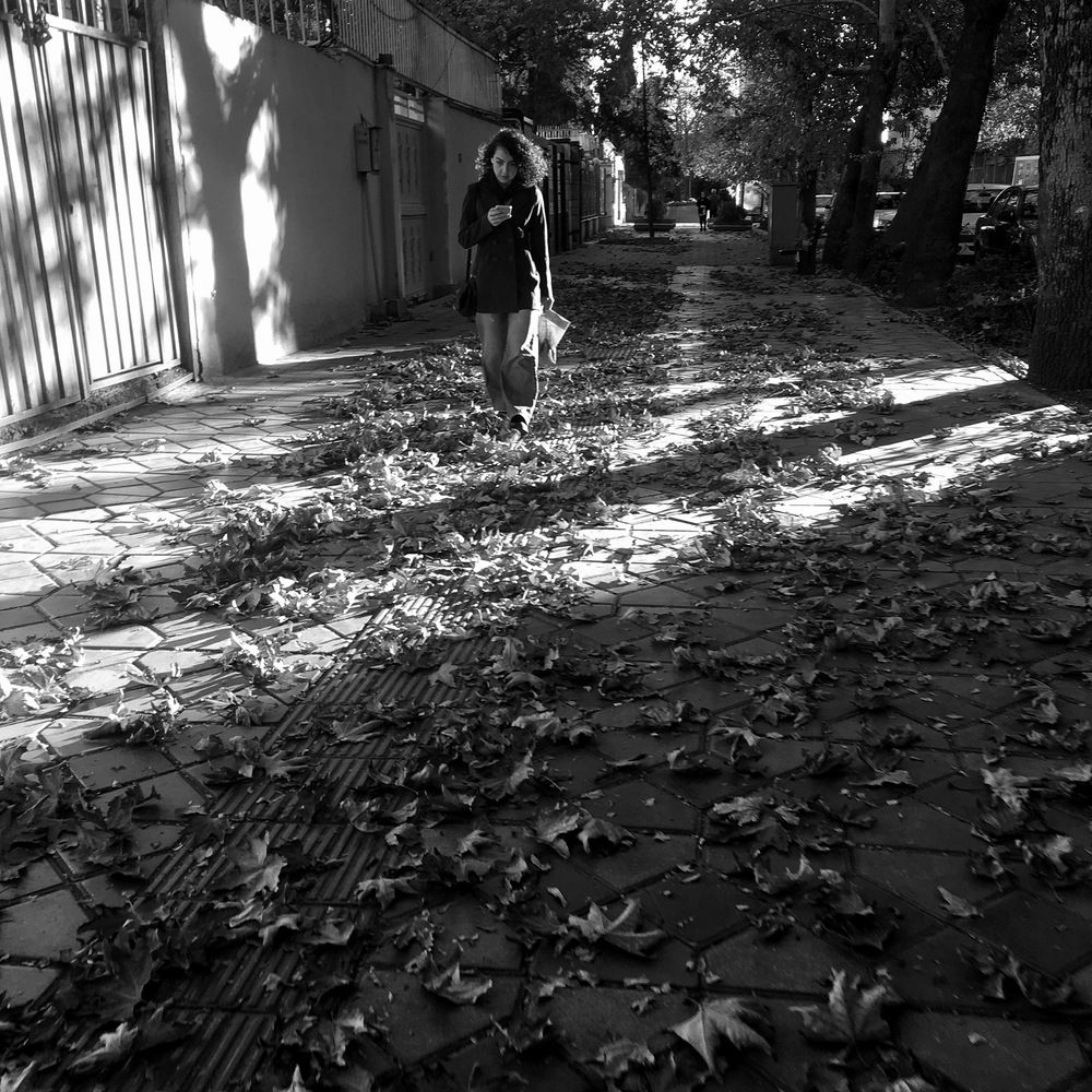 Photograph by reza mohammadi