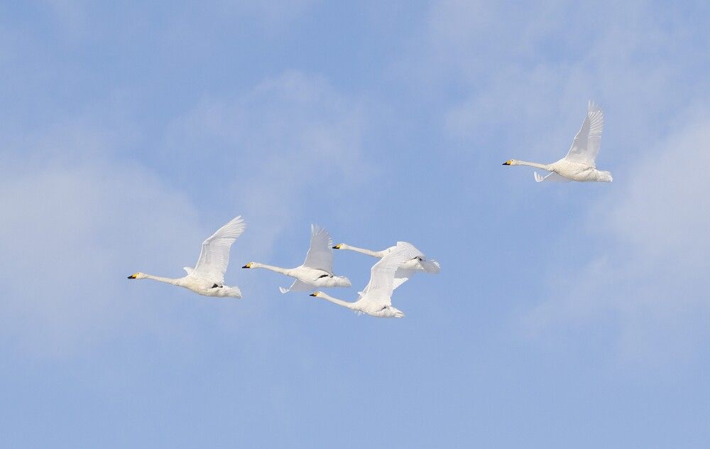 Photograph by Наталья Турчик